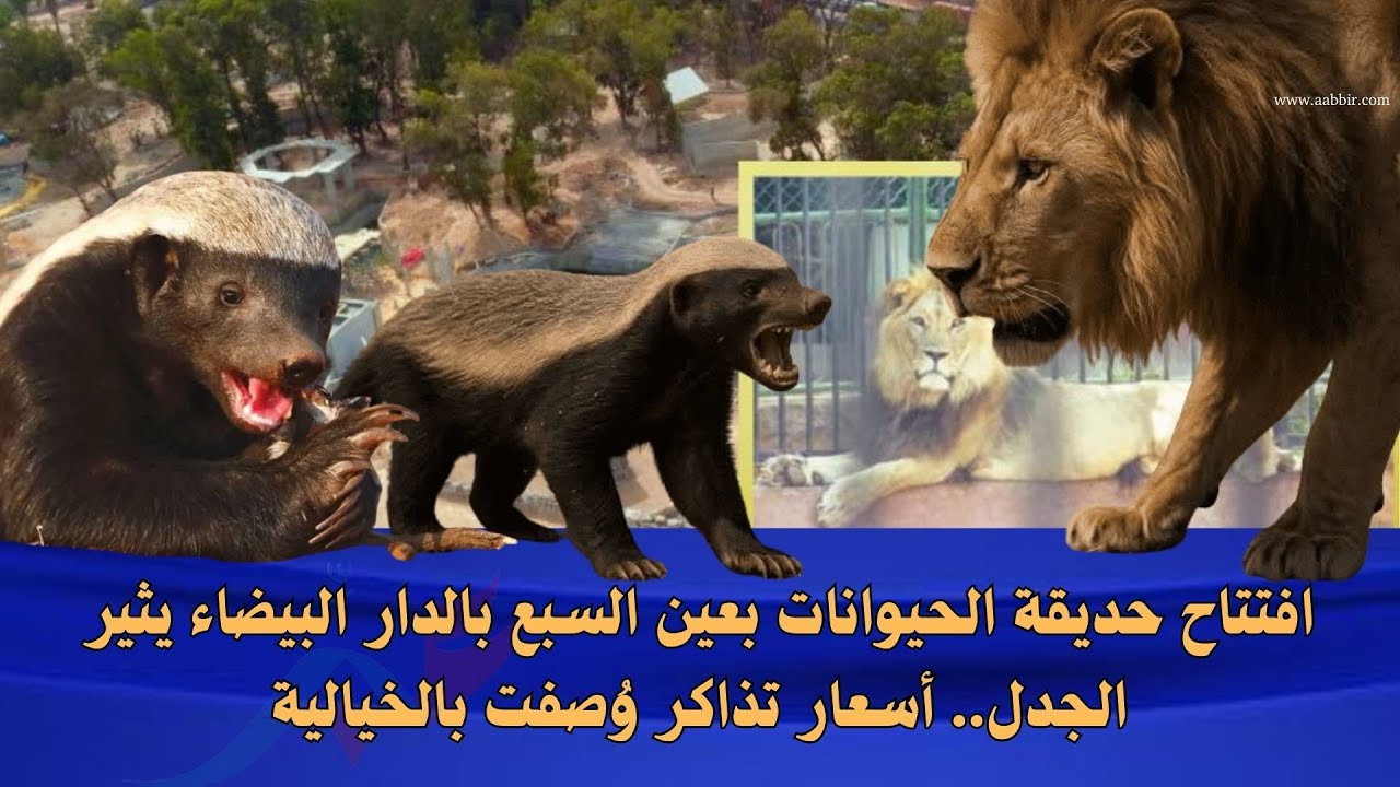 افتتاح حديقة الحيوانات بعين السبع بالدار البيضاء يثير الجدل.. أسعار تذاكر وُصفت بالخيالية