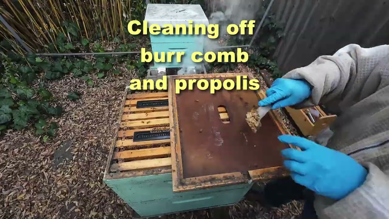 Bee Hive Inspection - January 14th, 2026