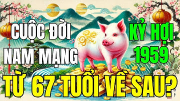 Tử Vi Trọn Đời Nam Tuổi Kỷ Hợi 1959: Từ Năm 67 Tuổi Về Sau Như Thế Nào?