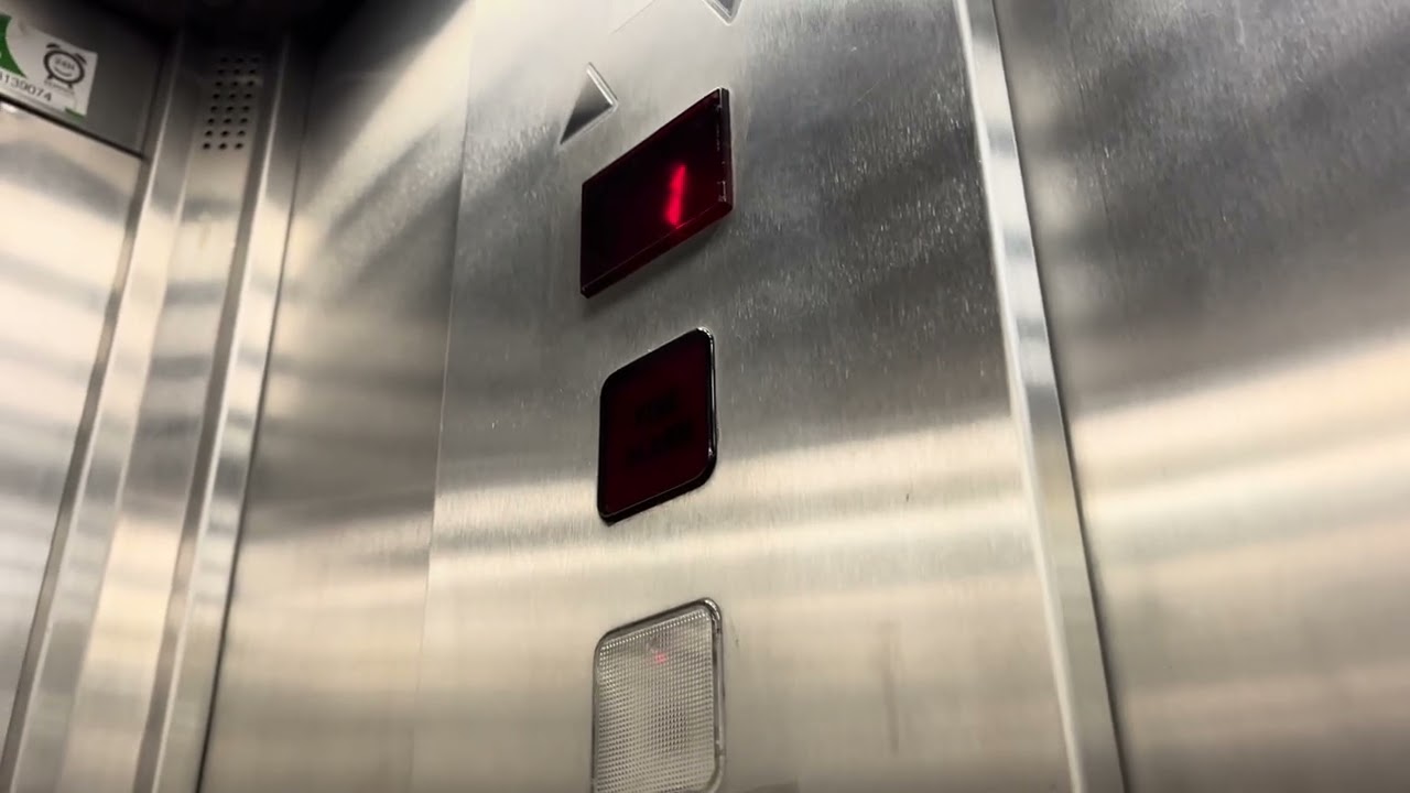 Mid Western Lift, UL Sports Arena Limerick City 