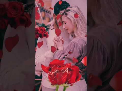 عليك الروح تسألني Madianallouche7451