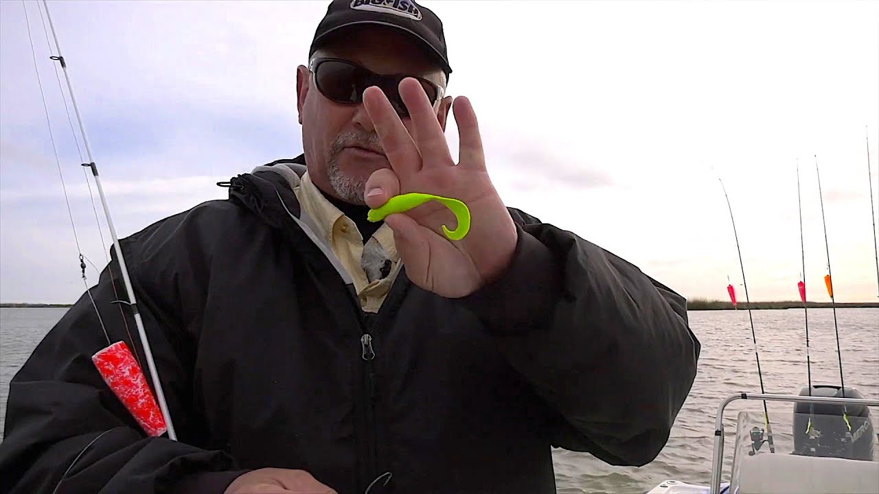 SHOW: Redfish Love That Gulp | MAR 12, 2019