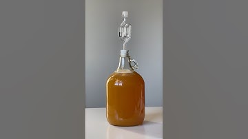 EASY LEMON HONEY WINE RECIPE