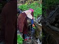 जहाँ से आता है हमारे गाँव का पानी 💧 | Natural Water Source #villagerlifestyle#Nature