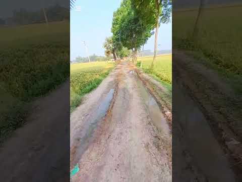 rural path. muddy path. short. shorts video. youtube short.