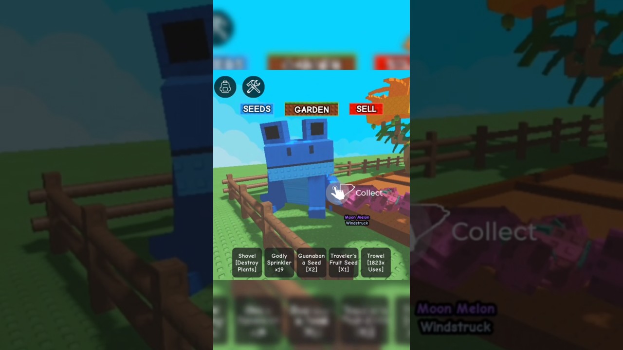 Giant pet echo frog 😱😯 