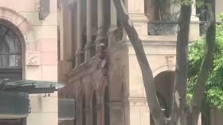 Assassins Creed In Real Life