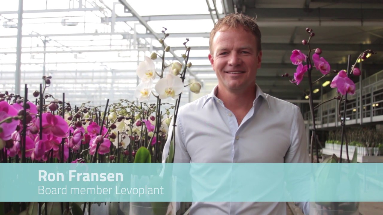 Company movie: Mprise Agriware | Leading in Hortibusiness Software