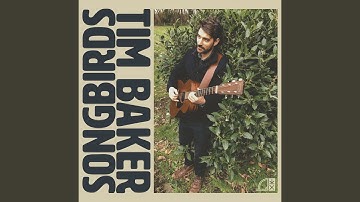 Songbirds