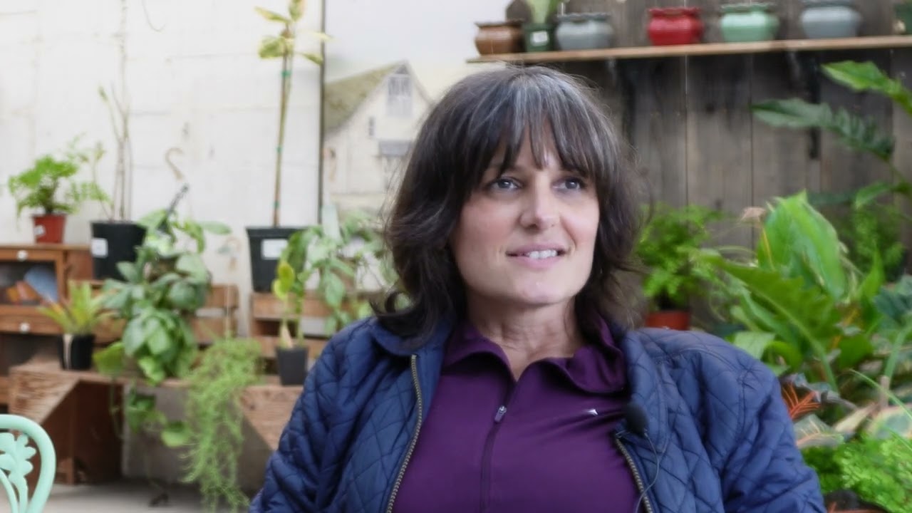 Local Market and Nursery: Business Growth Disrupted by Break-In