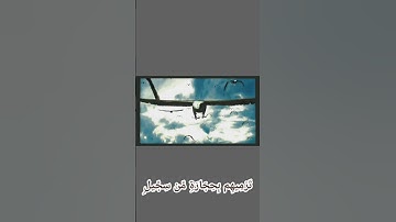 سورة الفيل💛 مع مشهد واقعي 🤍الجمال