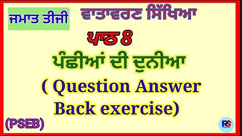 Class 3 | EVS | Lesson 8 | ਪੰਛੀਆਂ ਦੀ ਦੁਨੀਆ | Question Answer | PSEB