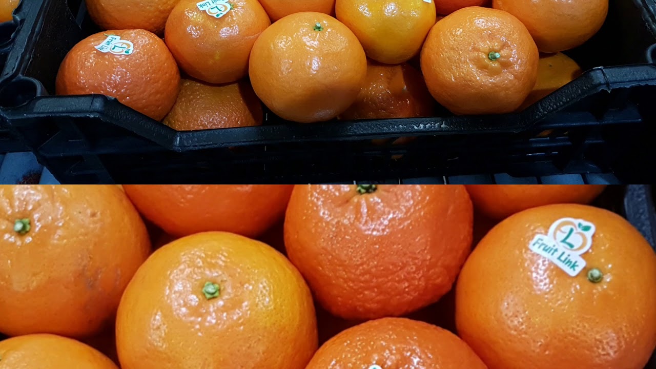 Maraf mandarins seedless 