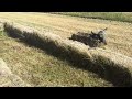 Lotspeich pumpkin patch maze