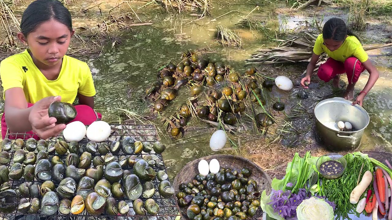 Found Snails in the Rice Field Grilled Snails Eating with Vegetables