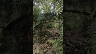 Walking trail by the river #nature #park #plants