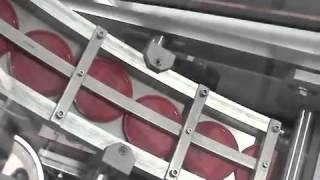 DEL Side Belt Overcapper w/ Rotary Cap Feeder