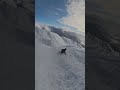 Powder day dreams ❄️💨