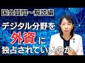 【国会質問〜解説編】デジタル赤字はあと10年で最大45兆円!?水力発電やメガソーラーに近況について