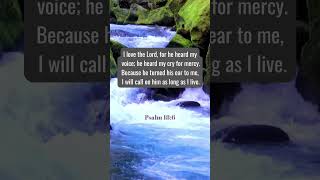 Start your day with Jesus #god #love #faith #prayers #devotional #shorts #fyp #god #sunday #amen