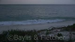 Fishing Net Strobe Light, Malaysia. 20210912065707.Uhd