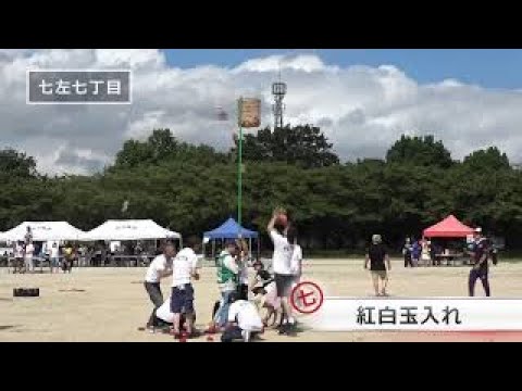 紅白玉入れ