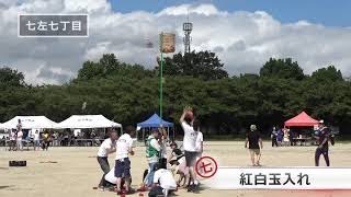 越谷市 紅白玉入れ  出羽地区体育祭 2019
