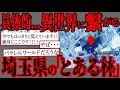 【2ch怖いスレ】凄い具体的に体験を語りたいのですが…。埼玉県の「とある林」での恐ろしく不可解な体験。思い込みか?それとも本当に異世界なのか…。【閲覧注意】