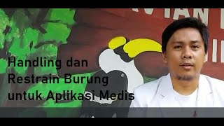 Handling dan Restrain untuk aplikasi medis pada Burung screenshot 1