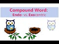 Compound Word Endocentric Vs Exocentric