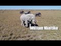 William nkoitiko Mp3 Song