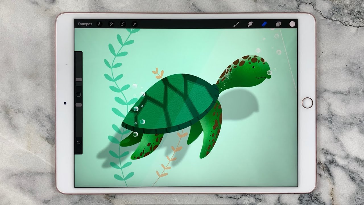 Water Turtle Procreate drawing / Иллюстрация в Procreate YouTube