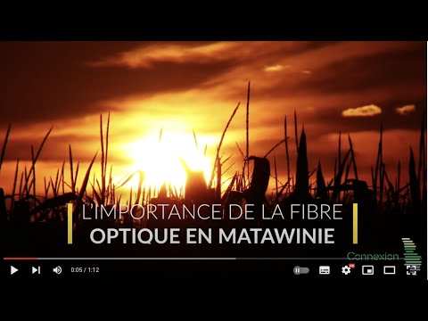 Capsule 03 - L'importance de la fibre en Matawinie