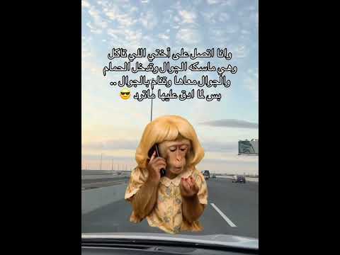 مل عندي حظ حتى بهذي مشاهير مشاهير تيك توك مشاهدات  