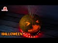 🎃Гнилая тыква Панк на Хэллоуин🎃 Тыква по имени Трампкин🎃