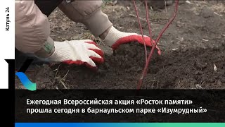 Ежегодная Всероссийская Акция «Росток Памяти» Прошла Сегодня В Барнаульском Парке «Изумрудный»