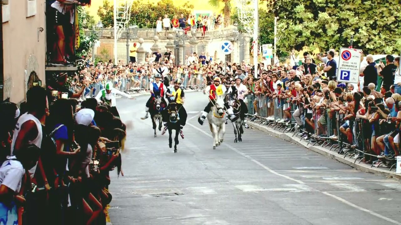 Corsa degli Asini - Gonfalone di Arpino 2024