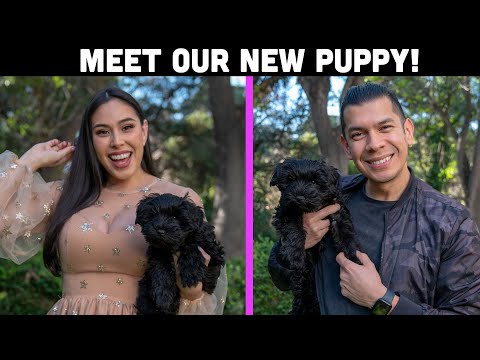 Meet Our NEW PUPPY