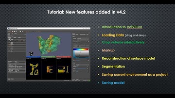 Tutorial: New Features and Tools of Real3d VolViCon V4