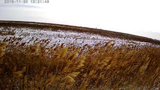 ОХОТА НА ШАКАЛА 2018  !!!!ПОДПИСЫВАЙТЕСЬ ..