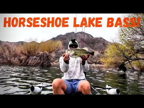 Chasing Big Bass at Horseshoe Lake – My First Time Here