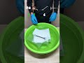 #papertowel #experiment #waterexperiments