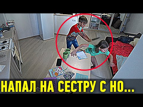 Видео: Посмотрите, как этот 12-летний мальчик помогает приютам найти дом самым классным способом