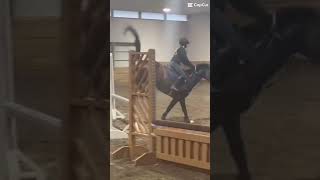 Hank The Other Dayyyy