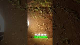 LED de gravação que serve para acampamento