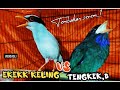 EKEK KELING VS TENGKEK BUTO || tembakan serem