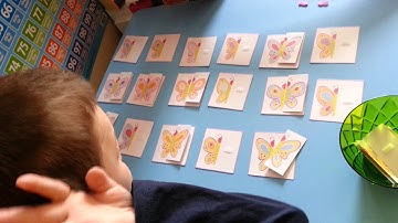 I&K Matching Butterflies - Symmetry Activity - Busy Bag_