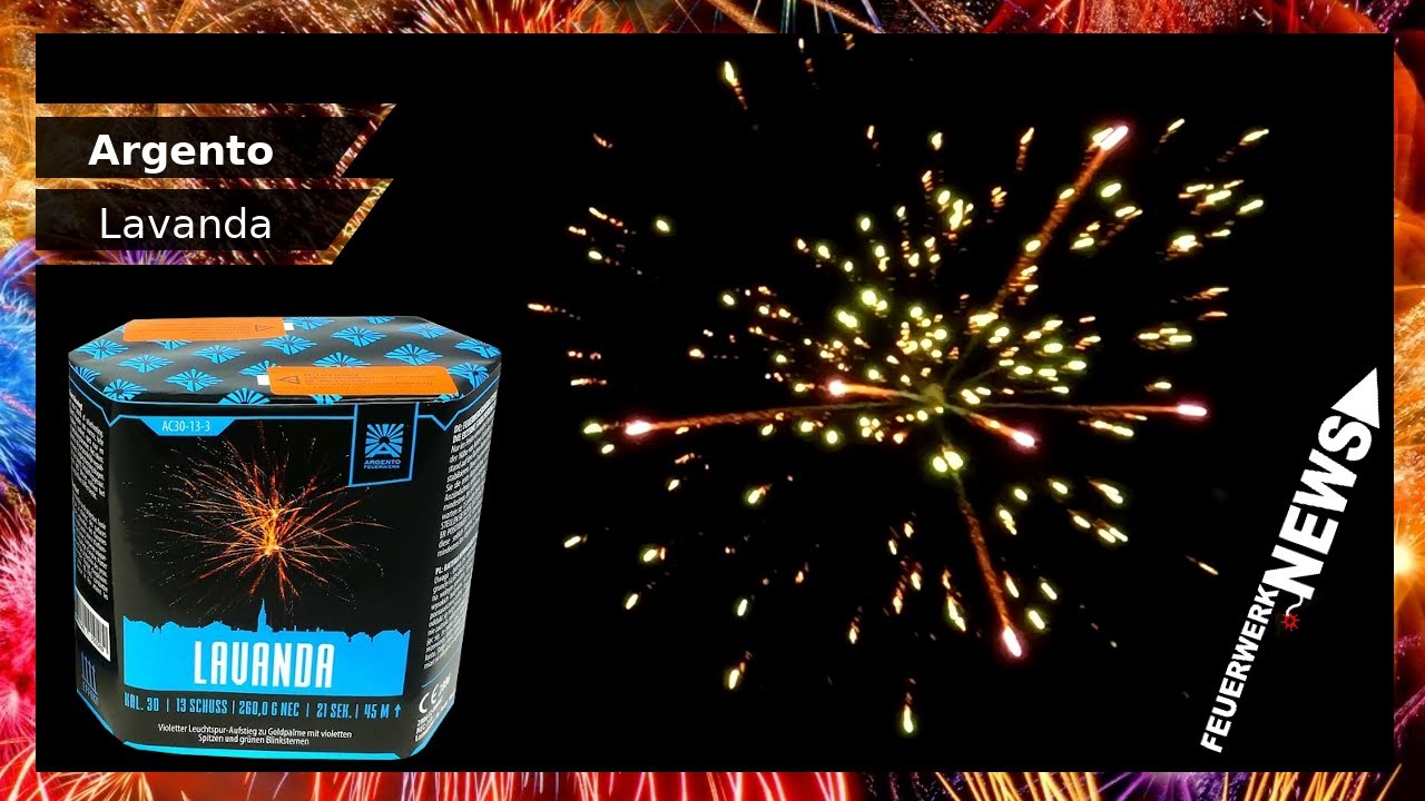 ARGENTO LAVANDA | Goldpalme mit violetten Spitzen | 4k