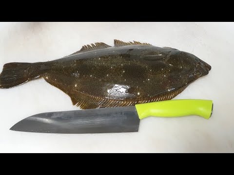 How to clean a <strong>halibut</strong> with a $3 knife from DAISO!