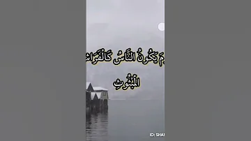 سورة القارعة تلاوة مرئية حسام الدين عبادي 